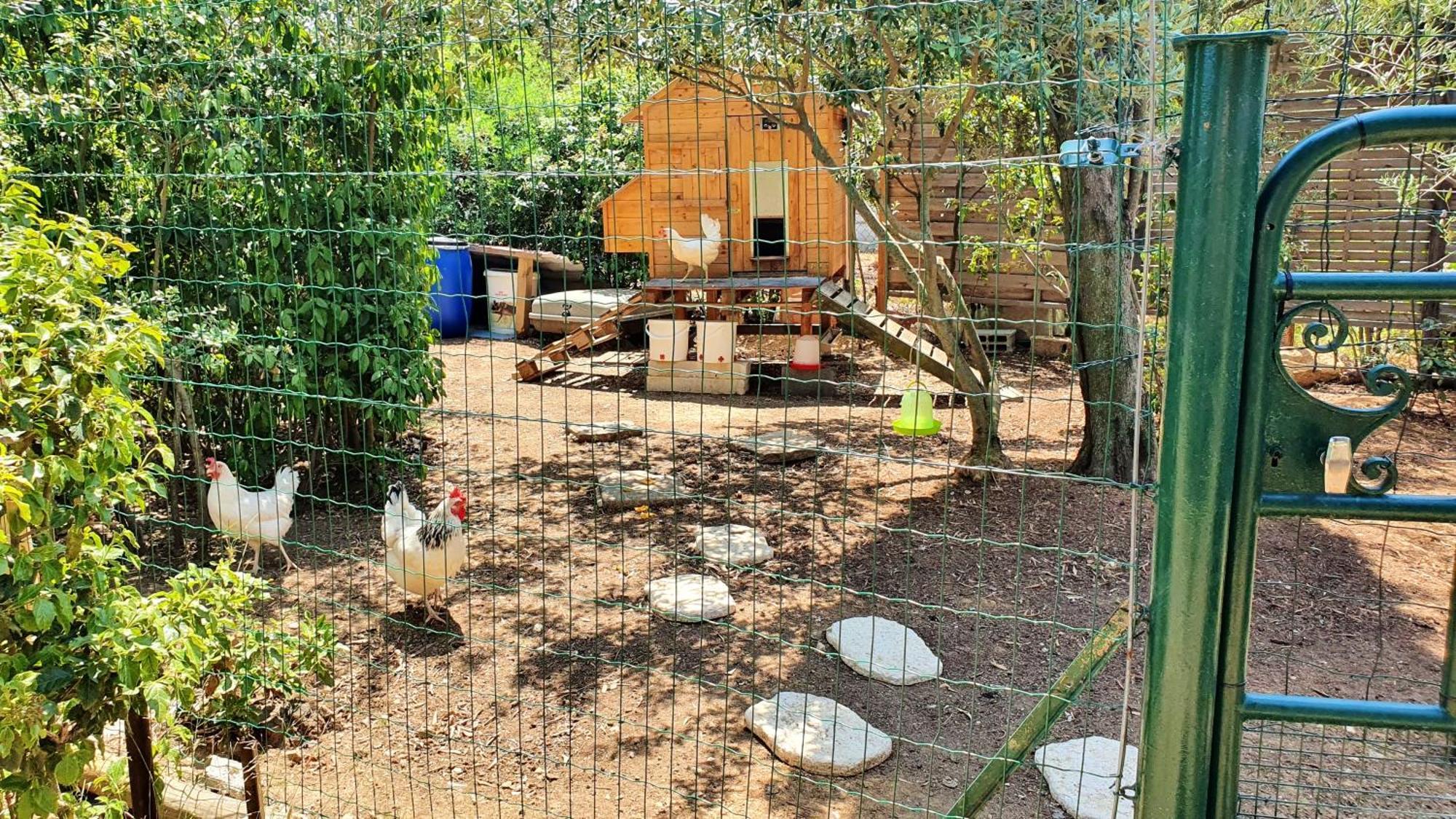 Villa Spacieuse A Beziers Avec Piscine Privee Et Jacuzzi Exterior foto